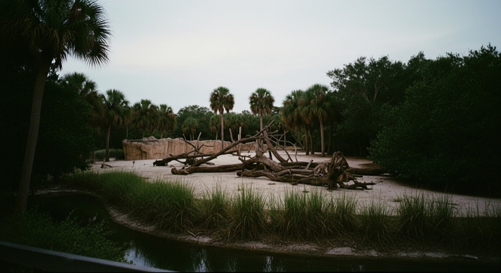 Wild Night: Night Tour — Zoo Miami — After Dark & Night Sky in Miami
