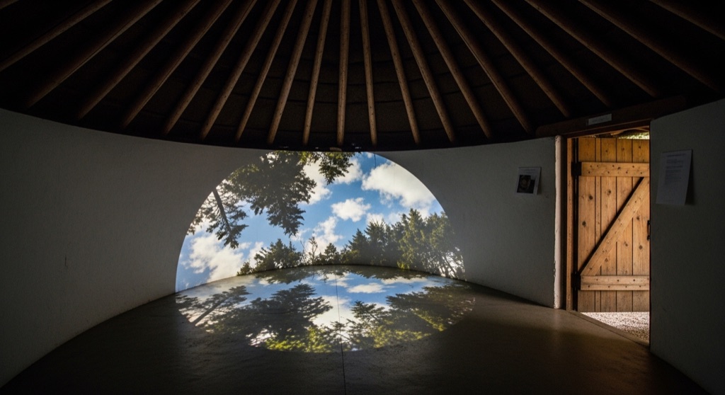 Cloud Chamber for the Trees and Sky — Roadside & Outdoor Oddities in Raleigh