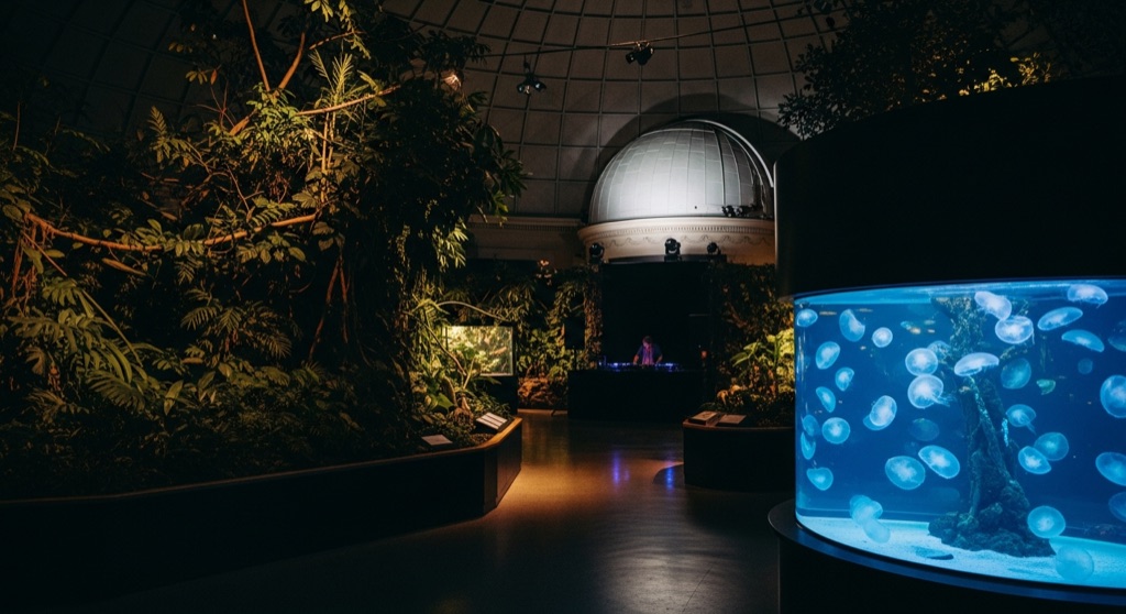 NightLife at the California Academy of Sciences — After Dark & Night Sky in San Francisco